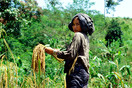 Indonesia 1978 West Java Badui woman