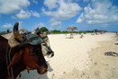Cuba Camaguey Prov. 'playa Santa Lucia'