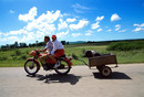 Cuba Camaguey Prov. Brasil  Man, woman, motorbike and pig