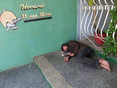 Havana Centro Habana 'a nap before opening' 12-2013