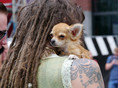 Belgium Antwerp 2014 Rasta hair, tattoo and dog