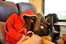 Netherlands Sleeping girls in the train 2012
