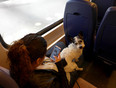 NS Train 2014 'smartphone and dog'