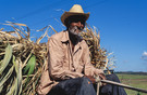 Cuba Santiago de Cuba Province 'farmer with cigarette'